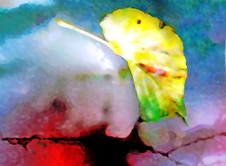 Digital Arts titled "how much is the lov…" by Tomas Karkalas, Original Artwork, Digital Painting