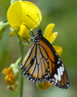 Photography titled "CALENDAR-UUP7" by Upendra Upadhyay, Original Artwork