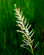 Photography titled "CALENDAR-UUP8" by Upendra Upadhyay, Original Artwork