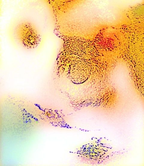 Digital Arts titled "generosity" by Tomas Karkalas, Original Artwork, Digital Painting