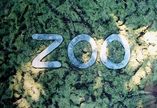 Sculpture titled "zoo" by Jean-Claude Jolet, Original Artwork