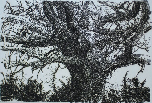 Printmaking titled "CHENE AUX GENEVRIER…" by Michel Moskovtchenko, Original Artwork, Etching