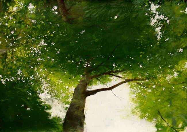 Peinture intitulée "cimes" par Mathieu Weemaels, Œuvre d'art originale