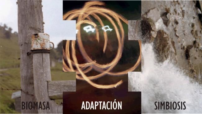 Fotografía titulada "ADAPTACION" por Artista Plastico, Obra de arte original