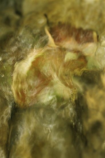 Photographie intitulée "Virevoltance" par Claude Delmas, Œuvre d'art originale