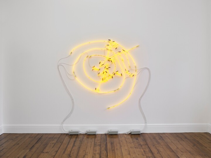 Joseph Kosuth: The Philosopher of Concept Who Transformed Art