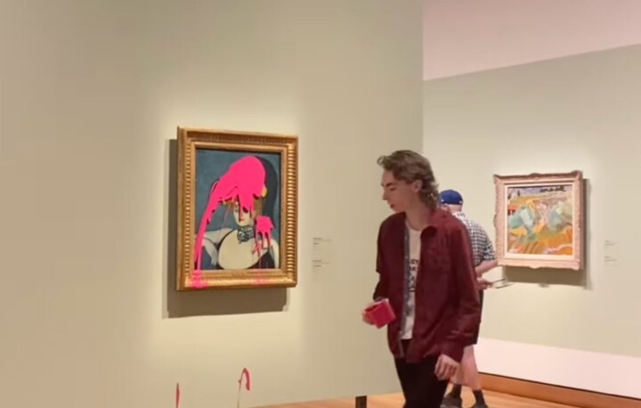 An environmental activist throws pink paint on a Picasso at the Montreal Museum of Fine Arts.