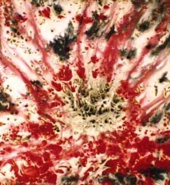 Pintura intitulada "EXPLOSÃO" por Mário Fresco, Obras de arte originais, Óleo