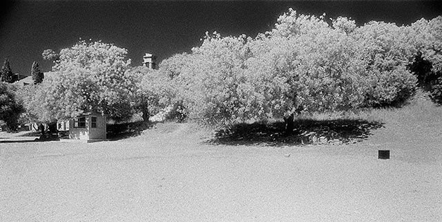 Fotografia intitolato "Acropolis – The park" da Gianluca Faletti, Opera d'arte originale