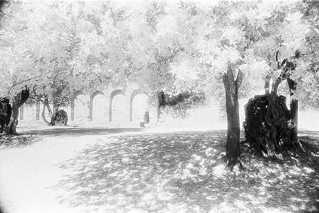 Fotografia intitolato "Acropolis – The park" da Gianluca Faletti, Opera d'arte originale
