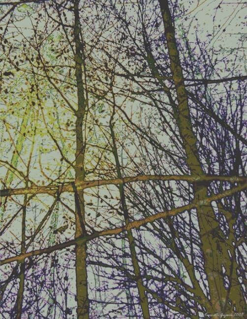 Digital Arts titled "Winter Forest 7" by Ken Grzesik, Original Artwork