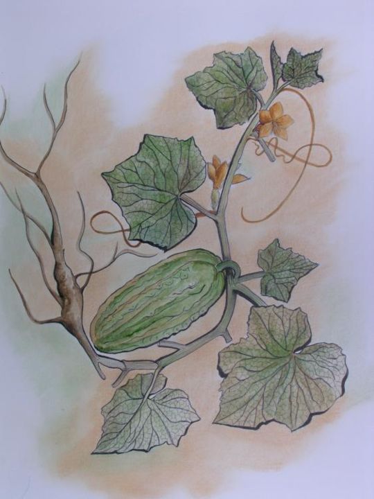 Peinture intitulée "CONCOMBRE" par Ghyslaine De Sevlian, Œuvre d'art originale, Huile