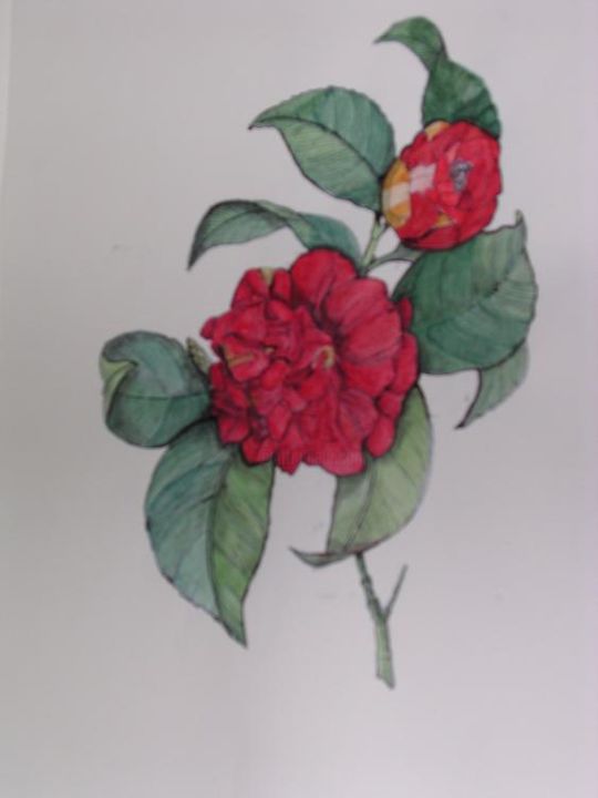 Peinture intitulée "Camélia double" par Ghyslaine De Sevlian, Œuvre d'art originale, Huile