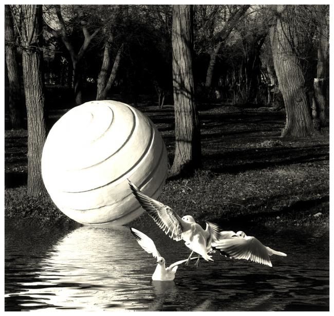 Fotografie getiteld "Brdy #22" door Kravchenko, Origineel Kunstwerk