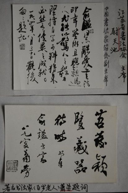 Painting titled "中国书画.篆刻名家尉天池,萧劳为俞氏题…" by Yu Zi Jian Mo Geng Shan Gu Long, Original Artwork, Oil