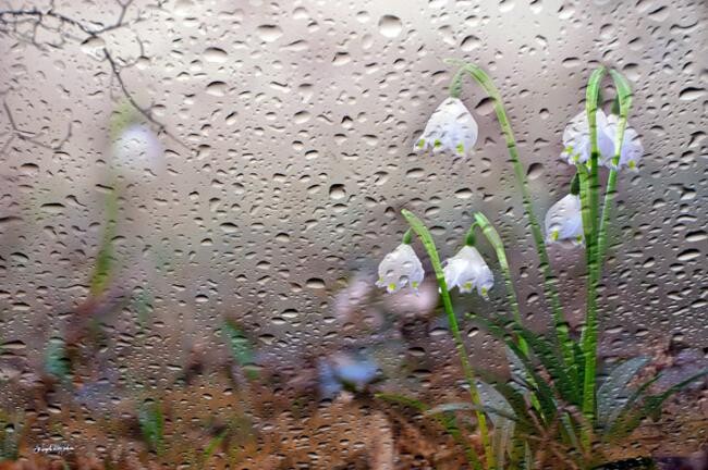 Fotografia intitolato "Oltre la pioggia" da Angelo Mazzoleni, Opera d'arte originale