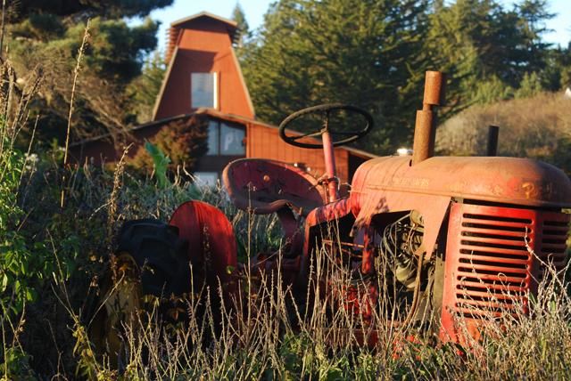 Photography titled "Mendo Tractor" by Angelo Di Pietrantonio, Original Artwork