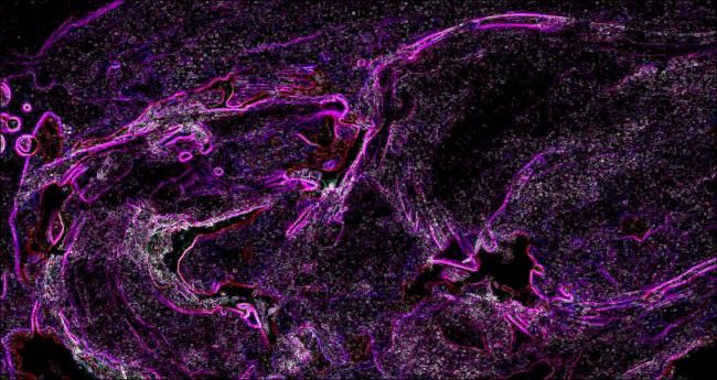 Digital Arts titled "pozoj I" by Josip Horvat, Original Artwork
