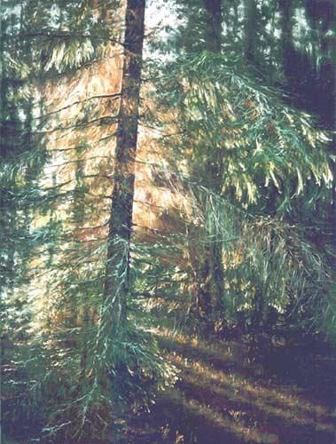 Painting titled "Forest-in-Gronity-II" by Swiatecki Marek, Original Artwork