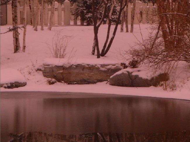 Photography titled "567.jpg" by Xuan Qi, Original Artwork