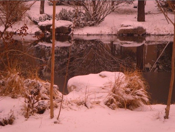 Photography titled "56.jpg" by Xuan Qi, Original Artwork