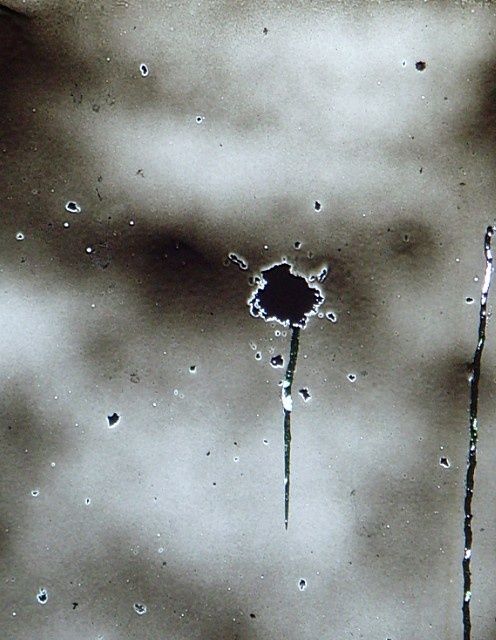 Photography titled "20090324_40f4fd06be…" by Xuan Qi, Original Artwork