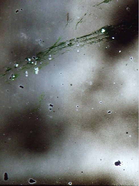 Photography titled "20090324_d330e54d3b…" by Xuan Qi, Original Artwork