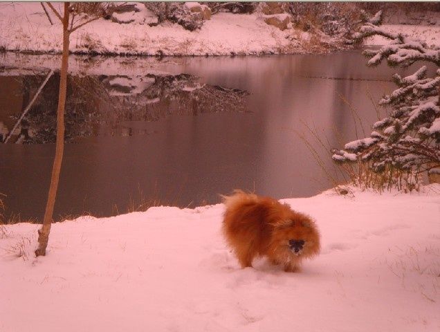 Photography titled "er.jpg" by Xuan Qi, Original Artwork