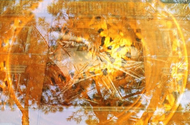 Fotografie getiteld "golden circle" door Angela Bruno, Origineel Kunstwerk