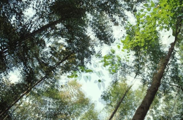 Fotografie getiteld "Image23.jpg" door Angela Bruno, Origineel Kunstwerk