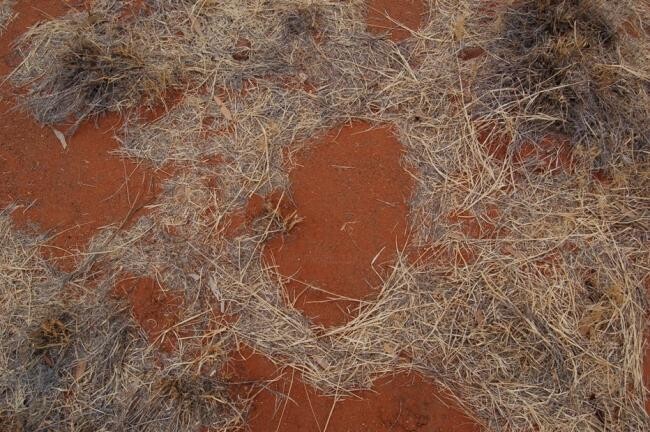 Fotografie mit dem Titel "red" von Ilgvars Zalans, Original-Kunstwerk