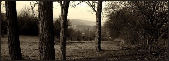 Photographie intitulée "colline de Heidwill…" par Marc Steiner, Œuvre d'art originale