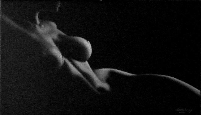 Peinture intitulée "ombres et lumieres…" par Christian Salaun, Œuvre d'art originale, Huile