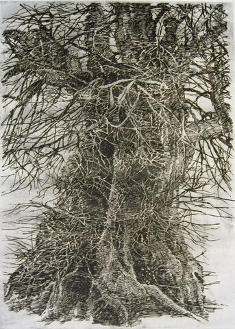 TILLEUIL A WETTEREN 印花与版画, 35.4x24.8 in