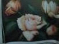 Painting titled "rosas" by Domcas, Original Artwork
