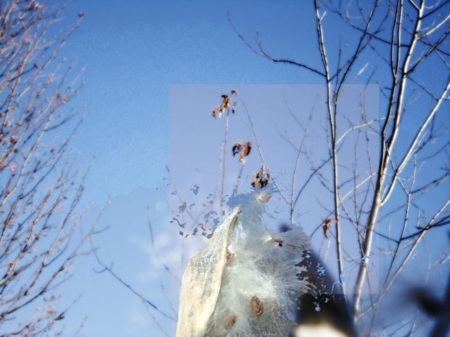 Digital Arts titled "6" by Dmitri Matkovsky, Original Artwork, Photo Montage