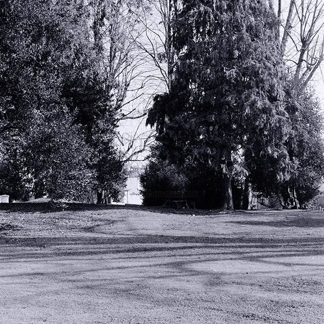 Fotografie getiteld "Untitled" door Gianluca Faletti, Origineel Kunstwerk