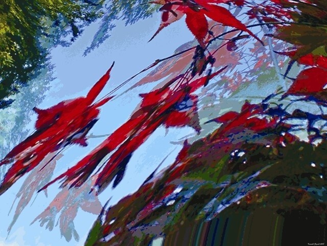 Artes digitais intitulada "Autumnation 30" por Ken Grzesik, Obras de arte originais, Pintura digital
