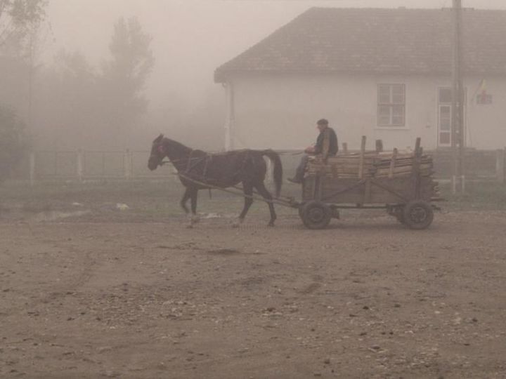 Photography titled "Kodos reggel/Foggy…" by Szomorattila, Original Artwork