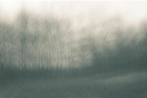 Photography titled "The Internal Confus…" by Mitch Labuda, Original Artwork
