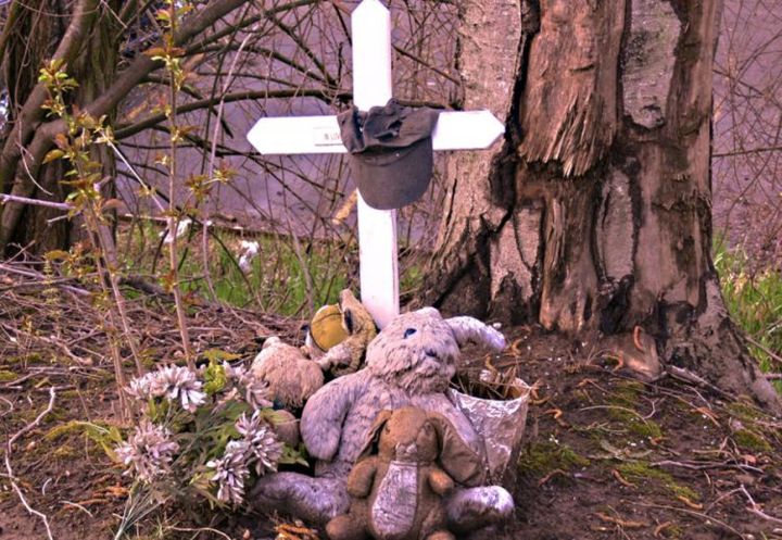 Photography titled "bunny.jpg" by Eddie Mchugh, Original Artwork