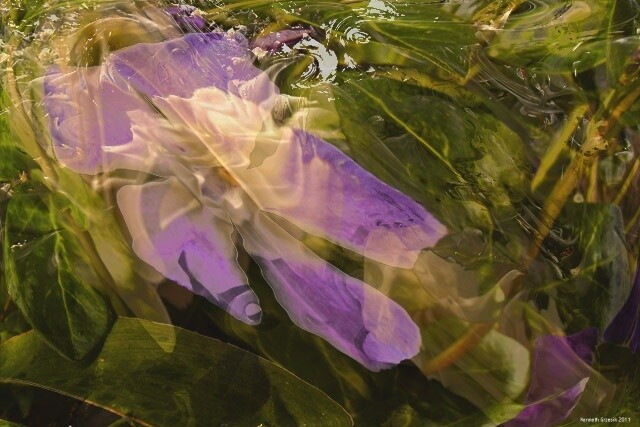 Digital Arts titled "Seduction by Spring…" by Ken Grzesik, Original Artwork, Digital Painting