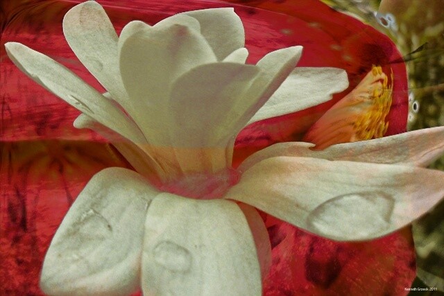 Digital Arts titled "Seduction by Spring…" by Ken Grzesik, Original Artwork, Digital Painting