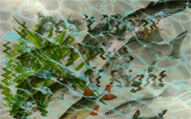 Digital Arts titled "Under water vol.2" by Emilia Penttilä, Original Artwork