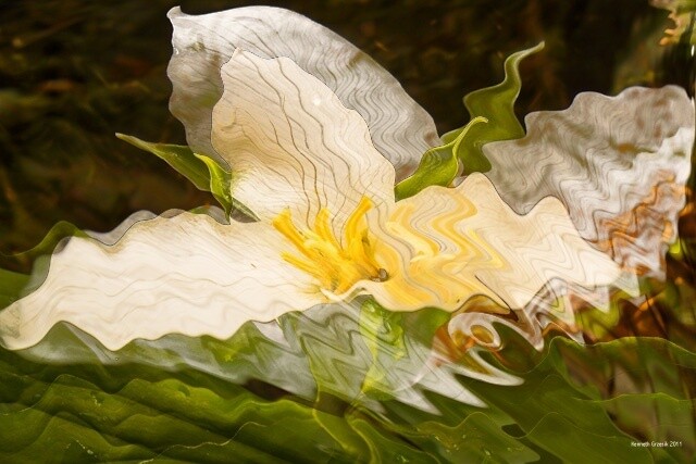 Digital Arts titled "Seduction by Spring…" by Ken Grzesik, Original Artwork, Digital Painting