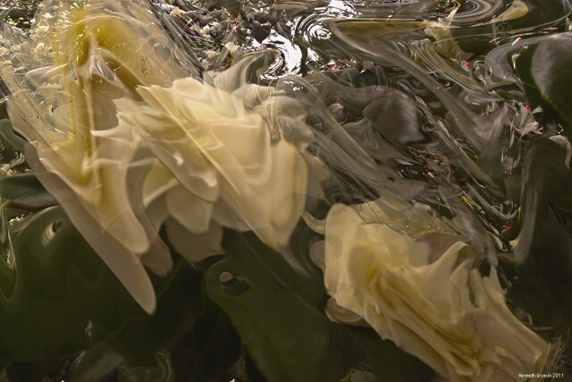 Digital Arts titled "Seduction by Spring…" by Ken Grzesik, Original Artwork, Digital Painting