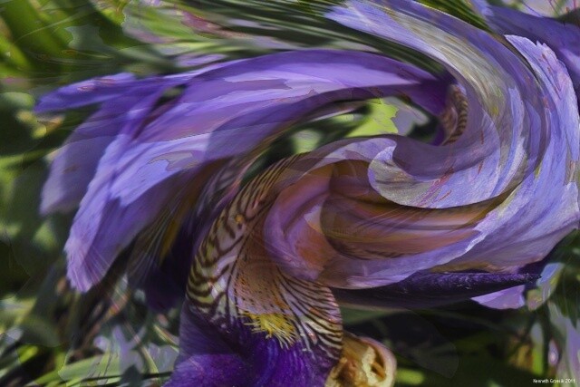 Digital Arts titled "Seduction by Spring…" by Ken Grzesik, Original Artwork, Digital Painting