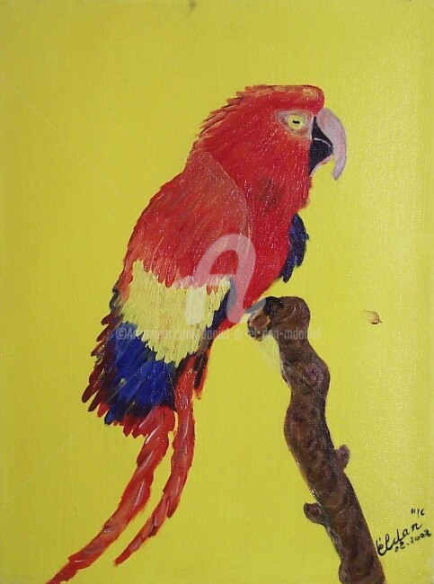 Le Perroquet 绘画, 15.8x11.8 in