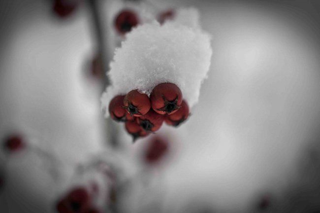 Photography titled "Loss" by Andrew Yordon, Original Artwork