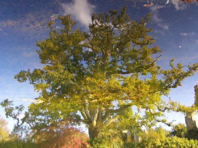 Photography titled "reflection_003.JPG" by Mick Bean, Original Artwork